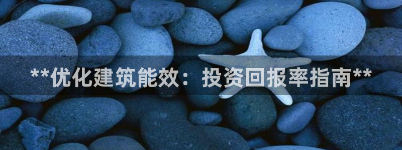 e尊国际可靠吗：**优化建筑能效：投资回报率指南**