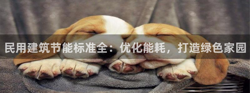 e尊国际-可可计划：民用建筑节能标准全：优化能耗，打造绿色家园