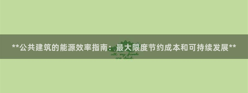 e尊国际是干什么的：**公共建筑的能源效率指南：最大限度节约成本和可持续发展**