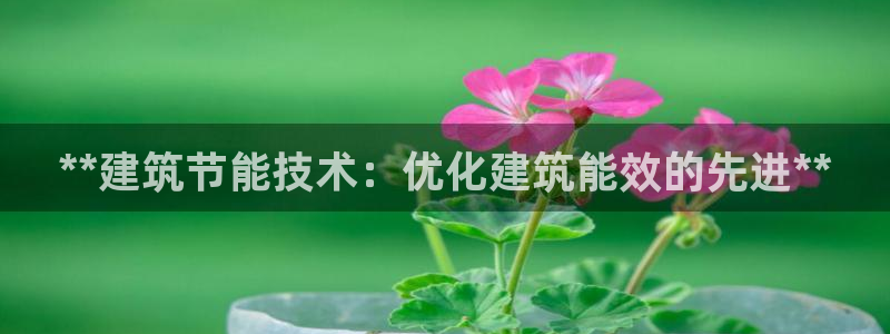 E尊国际：**建筑节能技术：优化建筑能效的先进**