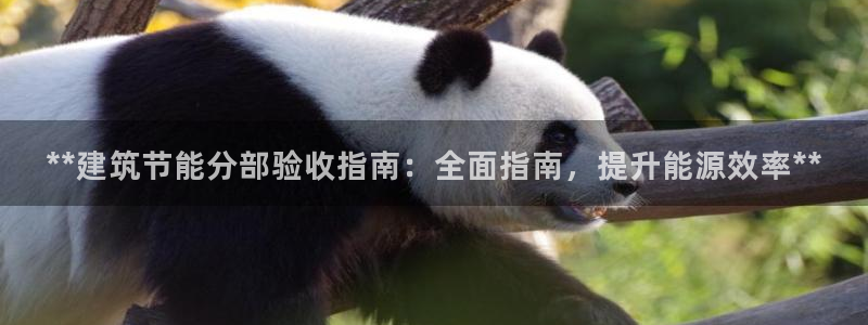 e尊国际娱乐官网地址：**建筑节能分部验收指南：全面指南，提升能源效率**