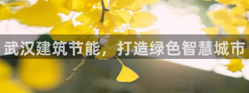 e尊官网：武汉建筑节能，打造绿色智慧城市