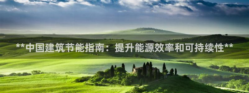 e尊国际网址：**中国建筑节能指南：提升能源效率和可持续性**