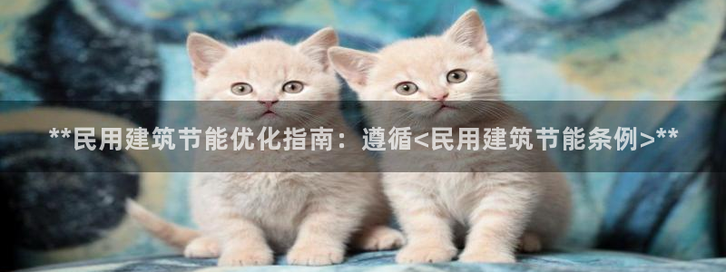 e尊国际平台：**民用建筑节能优化指南：遵循<民用建筑节能条例>**
