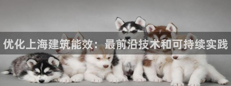 e尊国际是干什么的：优化上海建筑能效：最前沿技术和可持续实践