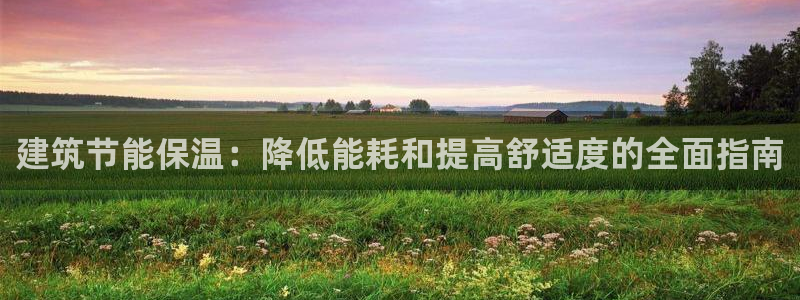 E尊国际网站：建筑节能保温：降低能耗和提高舒适度的全面指南