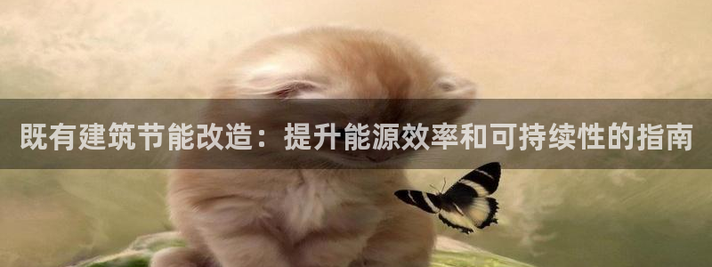 e尊国际地址：既有建筑节能改造：提升能源效率和可持续性的指南