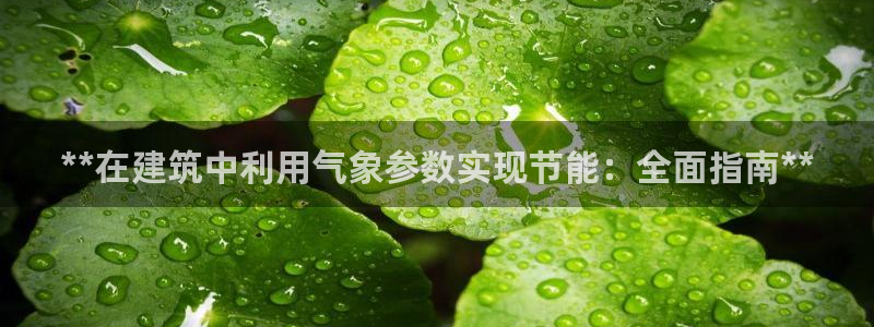 e尊国际官网：**在建筑中利用气象参数实现节能：全面指南**