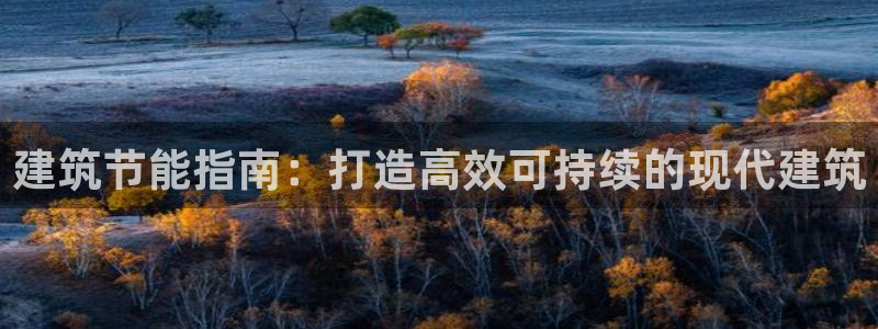 e尊国际是个黑网：建筑节能指南：打造高效可持续的现代建筑
