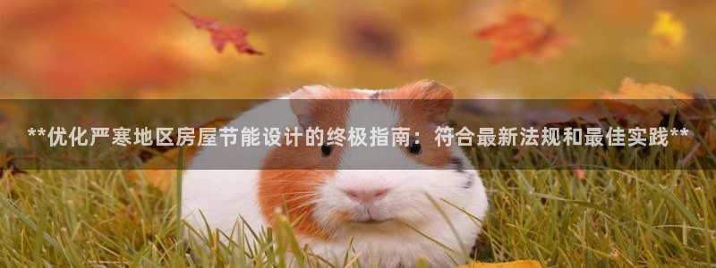 尊亿游戏国际官网：**优化严寒地区房屋节能设计的终极指南：符合最新法规和最佳实践**