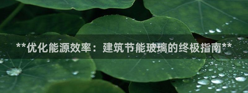 e尊国际客户端下载：**优化能源效率：建筑节能玻璃的终极指南**