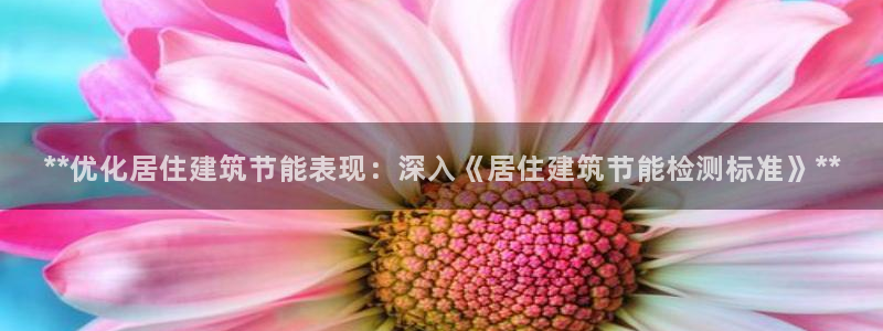e尊国际平台：**优化居住建筑节能表现：深入《居住建筑节能检测标准》**