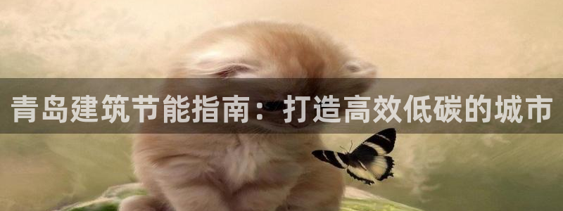 e尊国际-e尊国际官网：青岛建筑节能指南：打造高效低碳的城市