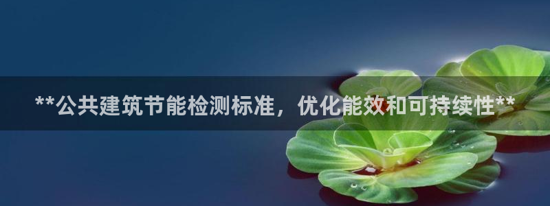 尊亿娱乐国际官网：**公共建筑节能检测标准，优化能效和可持续性**