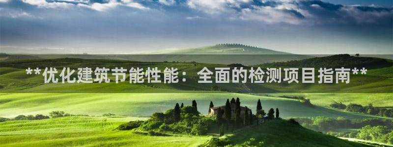 E尊国际网站：**优化建筑节能性能：全面的检测项目指南**