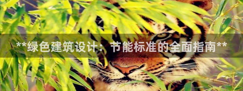 e尊国际平台：**绿色建筑设计：节能标准的全面指南**