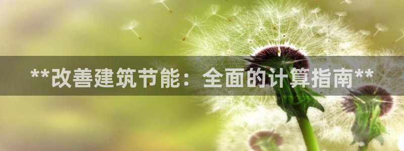 e尊国际平台：**改善建筑节能：全面的计算指南**