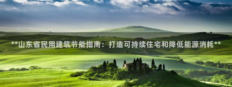 e尊国际客户端：**山东省民用建筑节能指南：打造可持续住宅和降低能源消耗**