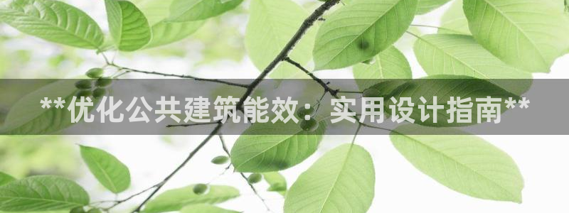 e尊国际的手机登录网站：**优化公共建筑能效：实用设计指南**
