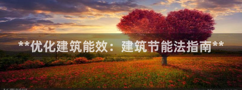 e尊国际网址：**优化建筑能效：建筑节能法指南**
