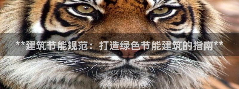 e尊国际-可可计划：**建筑节能规范：打造绿色节能建筑的指南**