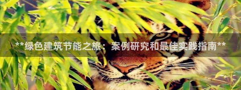 e尊国际的手机登录网站：**绿色建筑节能之旅：案例研究和最佳实践指南**