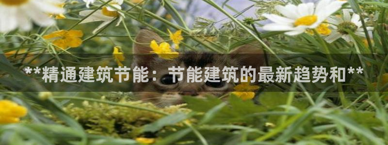 e尊国际客户端：**精通建筑节能：节能建筑的最新趋势和**