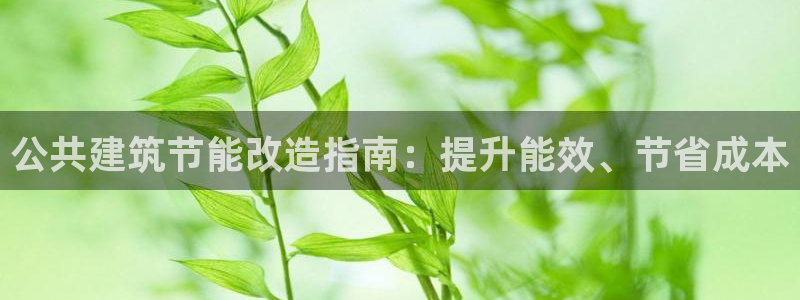e尊国际官方网站：公共建筑节能改造指南：提升能效、节省成本