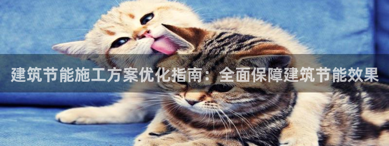 e尊国际官网：建筑节能施工方案优化指南：全面保障建筑节能效果