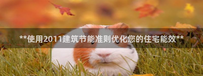 e尊国际官网·网址：**使用2011建筑节能准则优化您的住宅能效**
