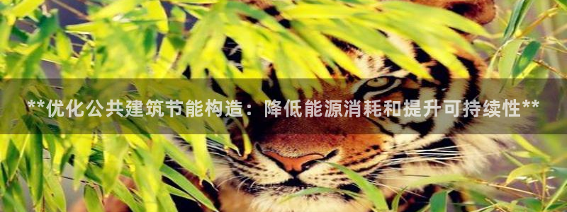 e尊国际可靠吗：**优化公共建筑节能构造：降低能源消耗和提升可持续性**