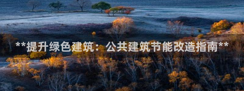 e尊官网：**提升绿色建筑：公共建筑节能改造指南**