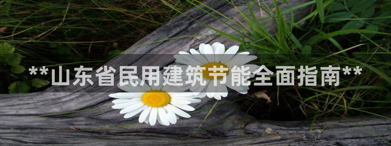 E尊国际：**山东省民用建筑节能全面指南**