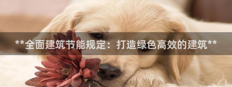 e尊国际娱乐官网下载：**全面建筑节能规定：打造绿色高效的建筑**