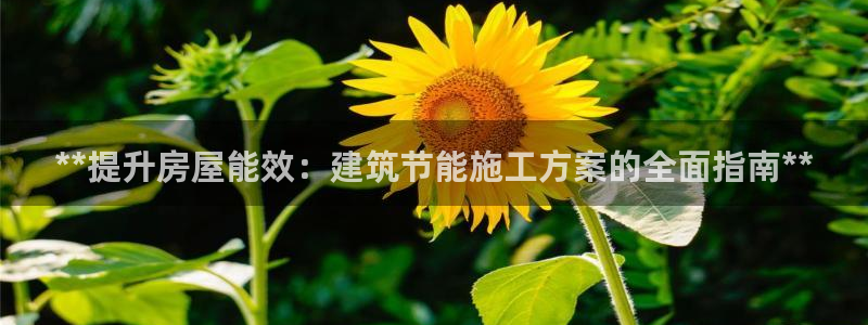 e尊国际可靠吗：**提升房屋能效：建筑节能施工方案的全面指南**