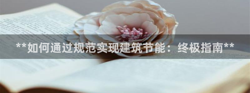E尊国际网站：**如何通过规范实现建筑节能：终极指南**