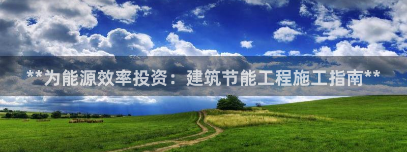 e尊国际网址：**为能源效率投资：建筑节能工程施工指南**