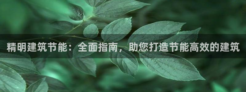e尊国际客服：精明建筑节能：全面指南，助您打造节能高效的建筑