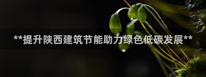 e尊国际是个黑网：**提升陕西建筑节能助力绿色低碳发展**