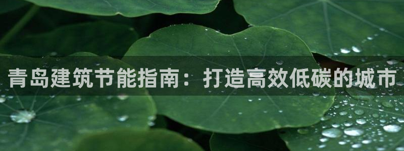尊亿游戏国际官网：青岛建筑节能指南：打造高效低碳的城市