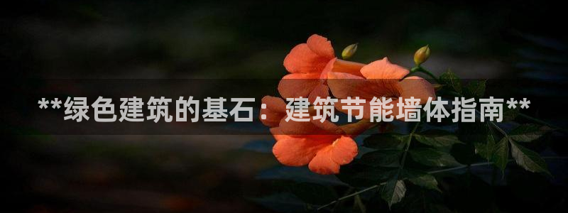 e尊平台：**绿色建筑的基石：建筑节能墙体指南**