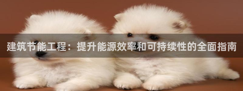 e尊国际-e尊国际官网：建筑节能工程：提升能源效率和可持续性的全面指南