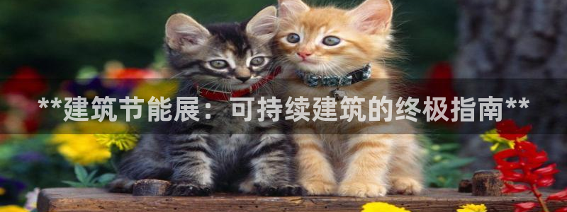 e尊国际客户端：**建筑节能展：可持续建筑的终极指南**