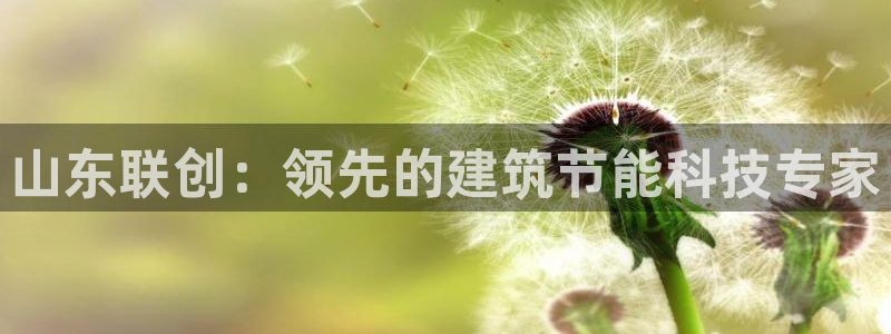 e尊电竞：山东联创：领先的建筑节能科技专家