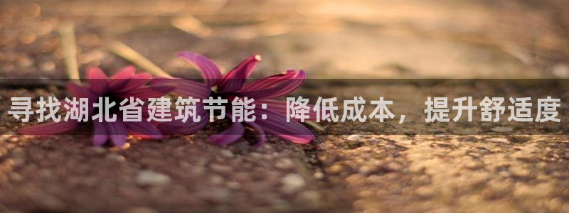 e尊官网：寻找湖北省建筑节能：降低成本，提升舒适度