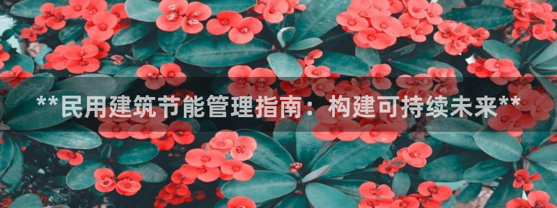 e尊国际的手机登录网站：**民用建筑节能管理指南：构建可持续未来**