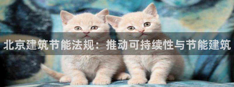e尊国际地址：北京建筑节能法规：推动可持续性与节能建筑