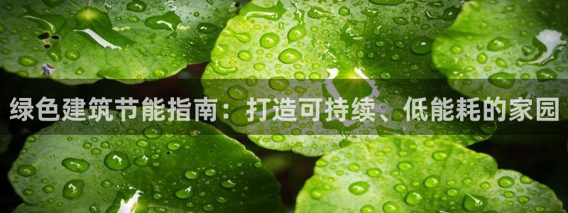 e尊国际可靠吗：绿色建筑节能指南：打造可持续、低能耗的家园