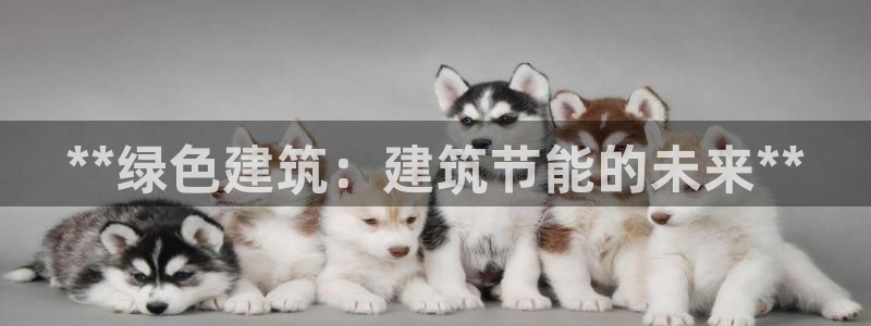 e尊国际官网·网址：**绿色建筑：建筑节能的未来**