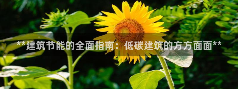e尊国际7779：**建筑节能的全面指南：低碳建筑的方方面面**